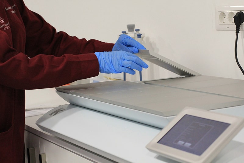 Cryopreservation container